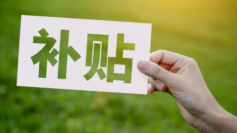 中国车市,这才卷到哪