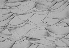 名古屋大学发明3D打印铝合金新方法 以制造更坚