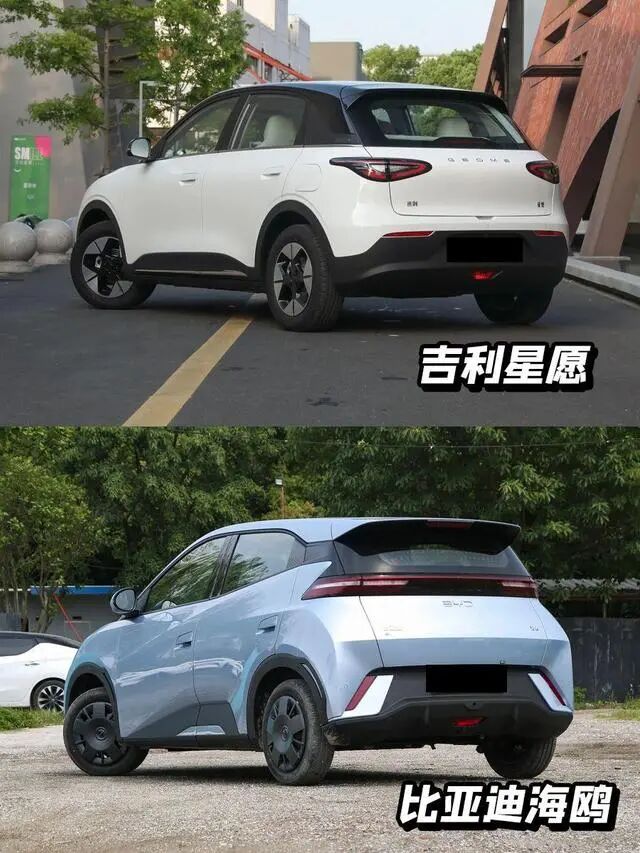 欧拉为何没造出长城的海鸥和星愿？