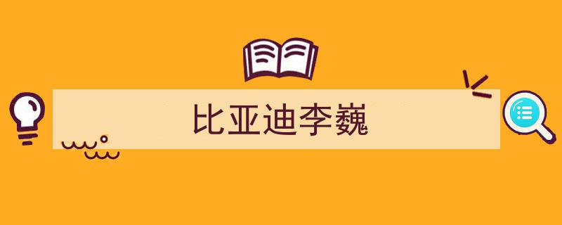 比亚迪总裁办主任李巍,公关奇才，主导推动品牌