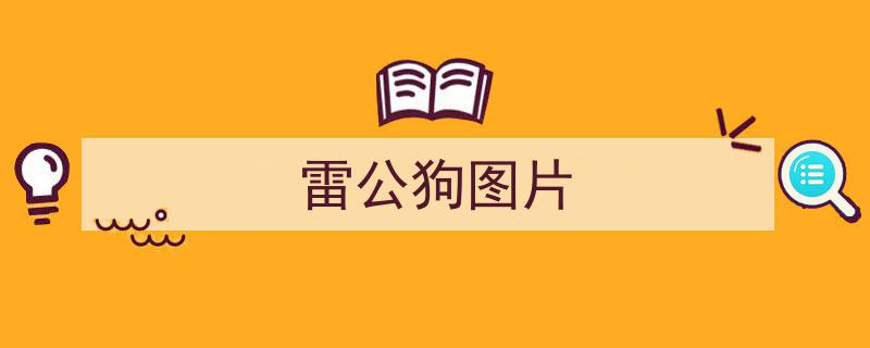 湛江生态守护者,历经磨难，这种树木重焕生机