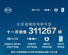 <strong>比亚迪11月辅助驾驶车型销售超31万辆</strong>